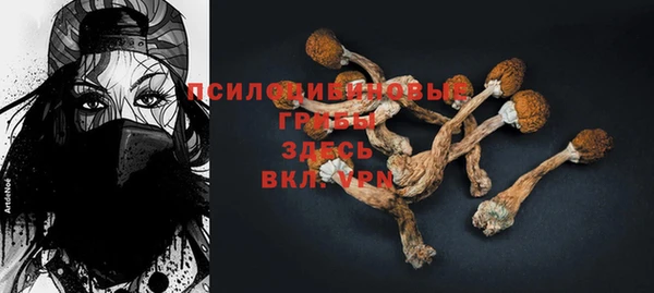 спайс Баксан