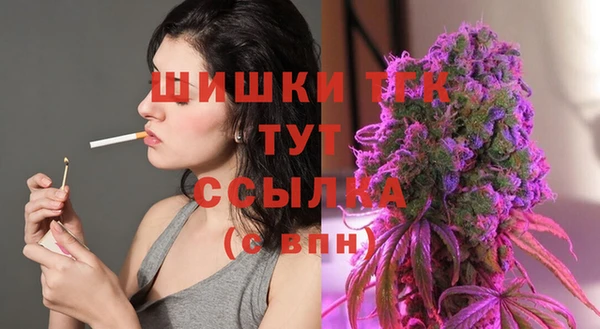 спайс Баксан
