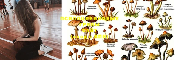 спайс Баксан