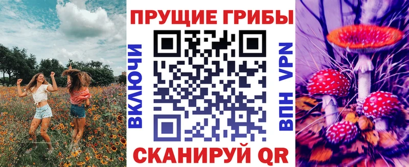 кракен tor  цена наркотик  Звенигород  Галлюциногенные грибы мицелий 